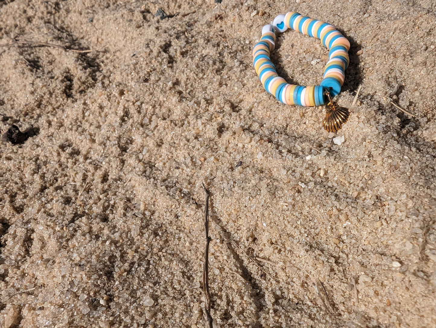 Beach w/ SeaShell