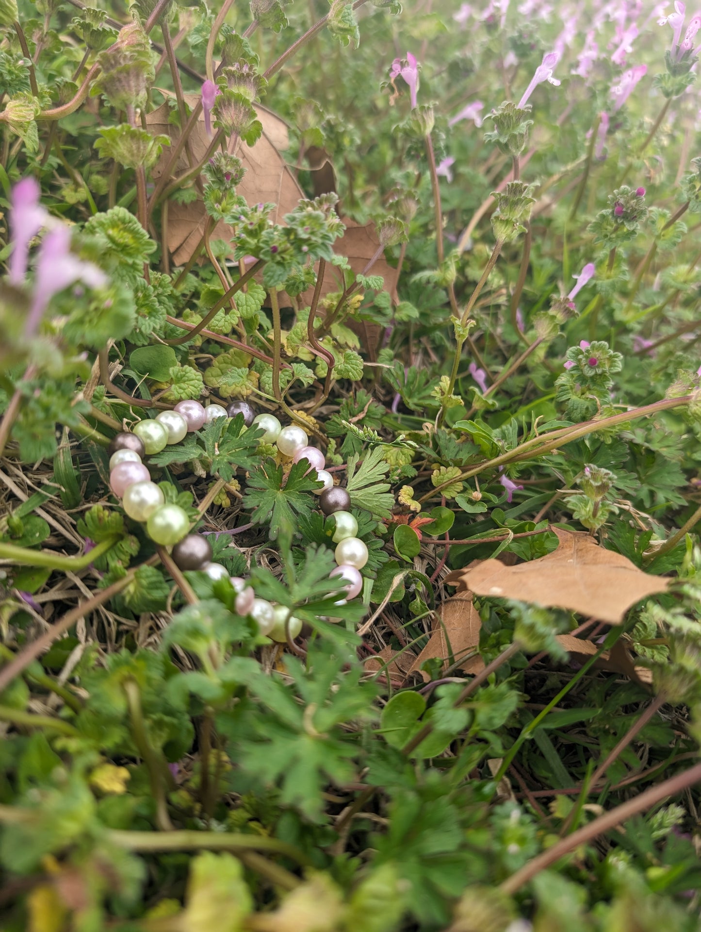 Garden color bracelet