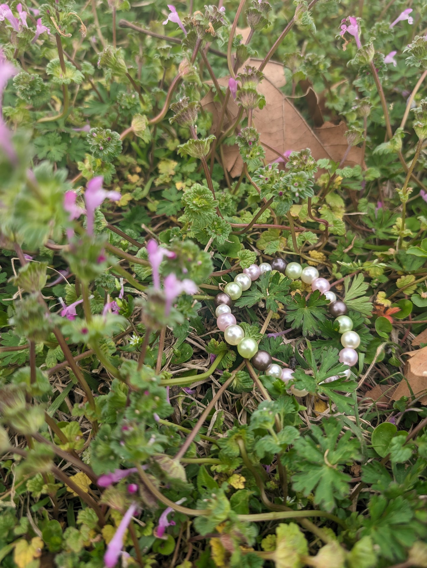 Garden color bracelet